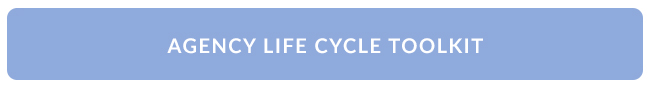 Agency Life Cycle Toolkit Button (2).jpg