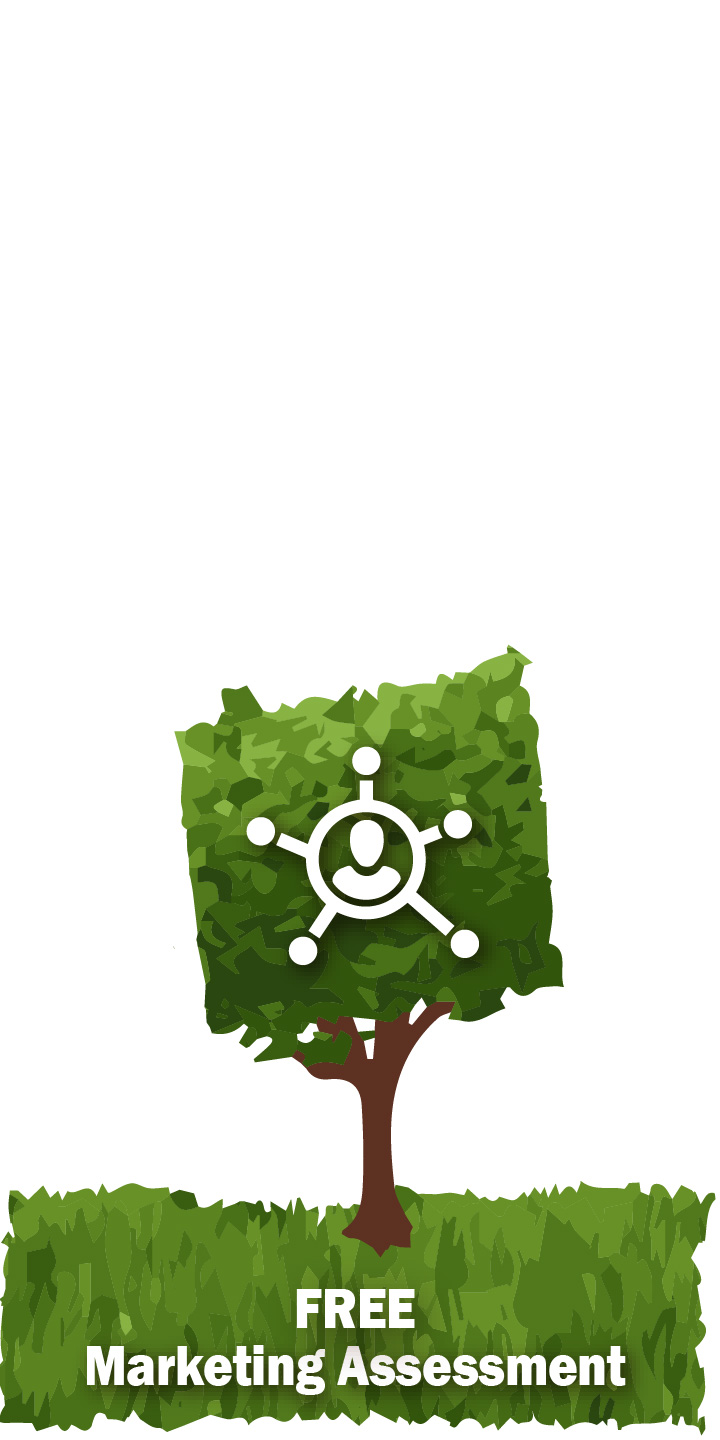 Free Marketing Assessment