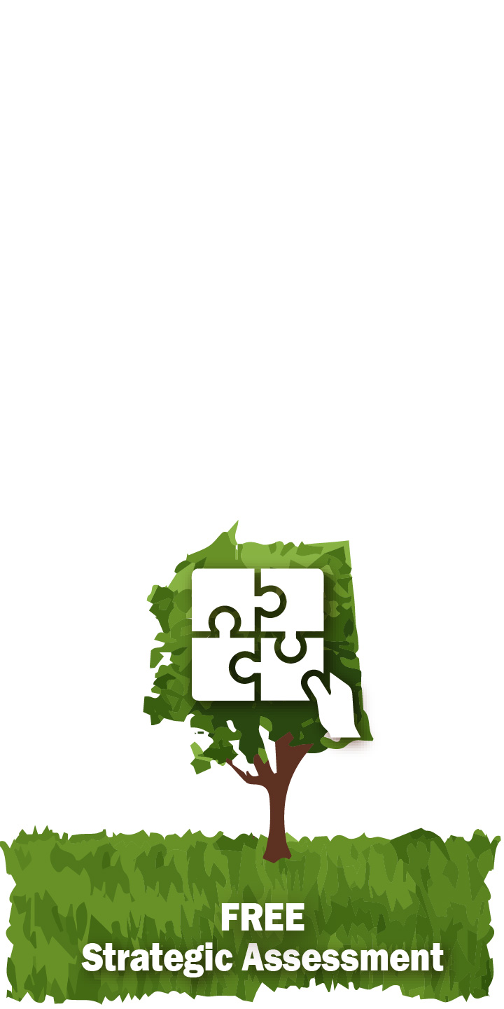 Free Strategic Assessment